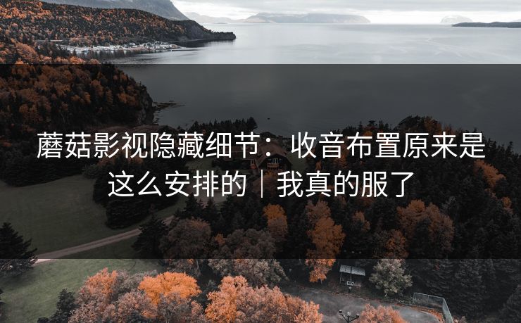 蘑菇影视隐藏细节：收音布置原来是这么安排的｜我真的服了
