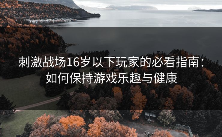 刺激战场16岁以下玩家的必看指南：如何保持游戏乐趣与健康