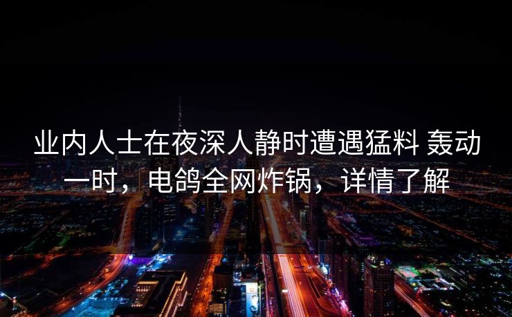 业内人士在夜深人静时遭遇猛料 轰动一时，电鸽全网炸锅，详情了解