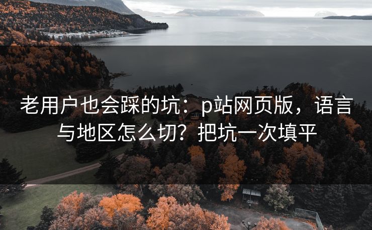 老用户也会踩的坑：p站网页版，语言与地区怎么切？把坑一次填平